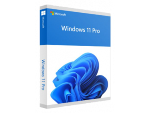 [91800] MICROSOFT WINDOWS PRO 11 64BIT ENGLISH 1PK DSP OEI DVD.