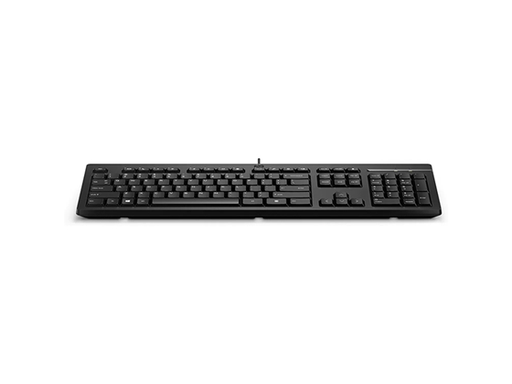 [108654] TECLADO CON CABLE HP 125 (266C9AA) – USB TIPO A POR CABLE. PLUG & PLAY, NEGRO, COMPATIBLE CON WINDOWS 10, WINDOWS 11. TECLADO INGLES